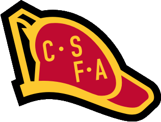 Los Angeles Kings 2007 Memorial Logo DIY iron on transfer (heat transfer)